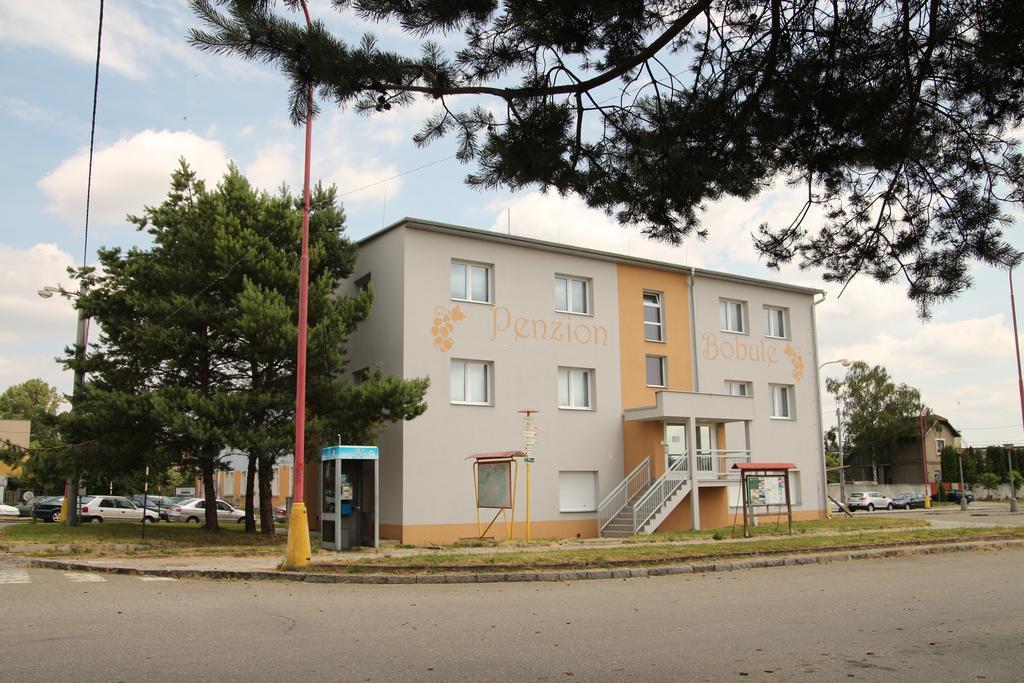 Penzion Bobule Stare Mesto  Esterno foto
